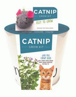 Netherland Bulb - Seed Catnip 1CT - 8003903786