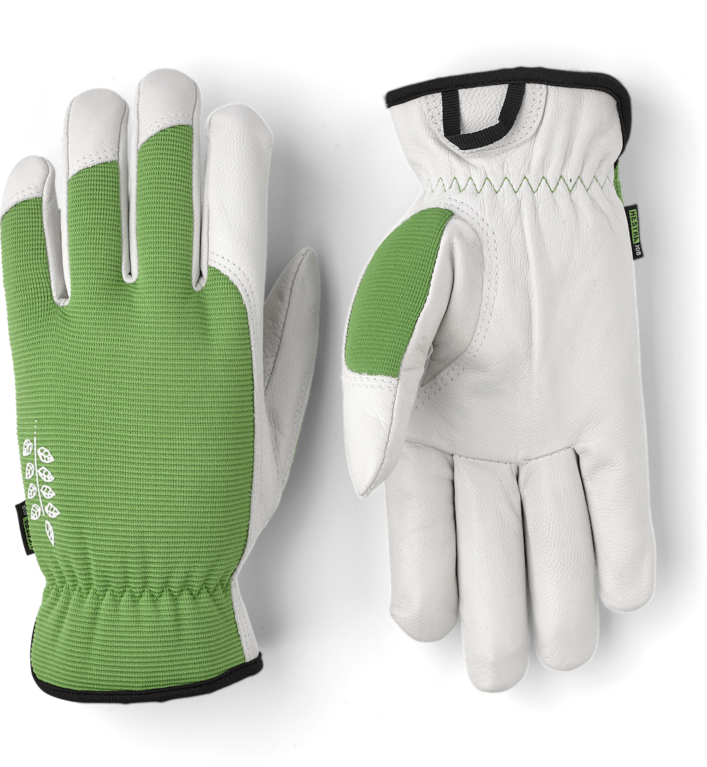 Hestra Gloves - Kobalt Garden - Green - Size 8 - 73180-850-8