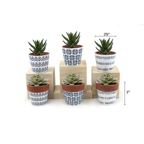 Land & Sea - Mini Pots White w/ Blue - MP8