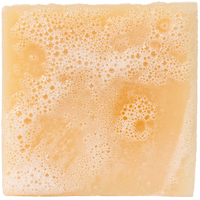 Dr. Squatch - Alpine Sage - Bar Soap wh-bar-as