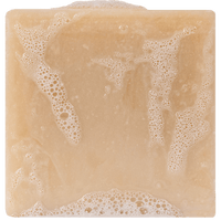 Dr. Squatch - Bay Rum - Bar Soap wh-bar-br