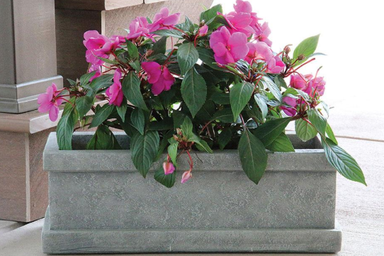 Massarelli's - 20" Ravelli Planter - 6086