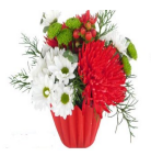Medium Christmas Arrangement - M00045