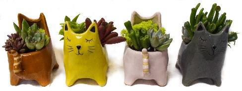 4" Ceramic Cat w/ Succulent- 91582-HS