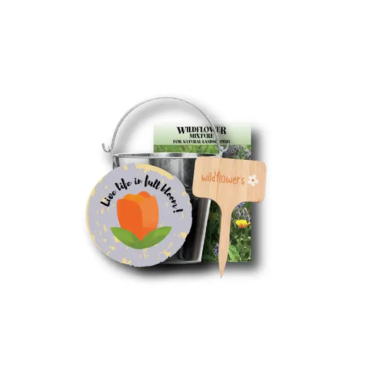 Imagine Design - Blooming Bundles Magnet and Seed Gift Pack - Tulip 10102