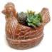 Rustic Mini Hen Succulent Planter - 91503-HS