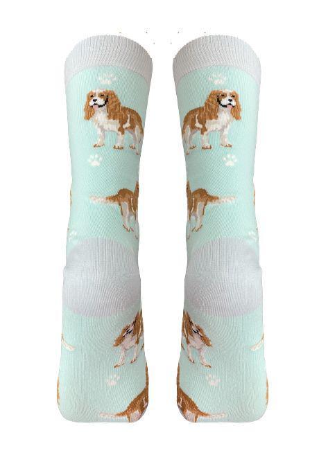 E&S Pets - Cavalier King Charles Full Body Socks 800 FB -18