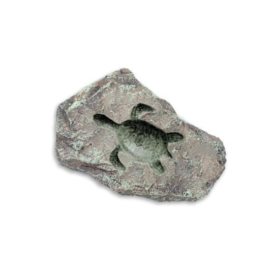 Land & Sea - Sea Turtle Fossil Rock - FR10