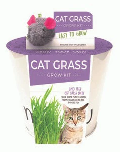 Netherland Bulb - Seed Cat grass 1CT 8003903786
