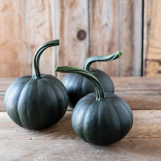 Mini Black Bear Pumpkin Gourd