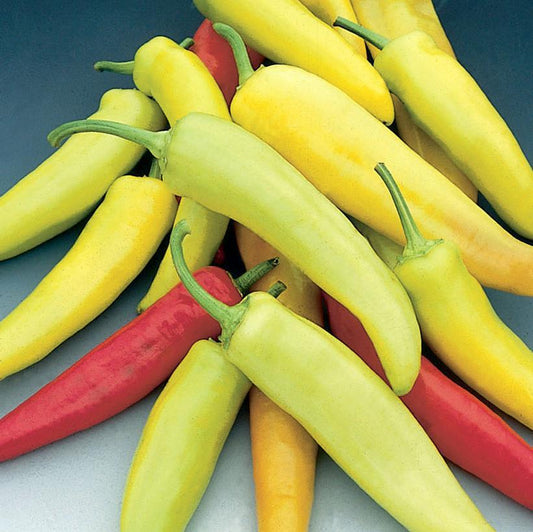 1G PEPPER 'HOT BANANA' (HOT) Hot Banana Hot Pepper 1006564