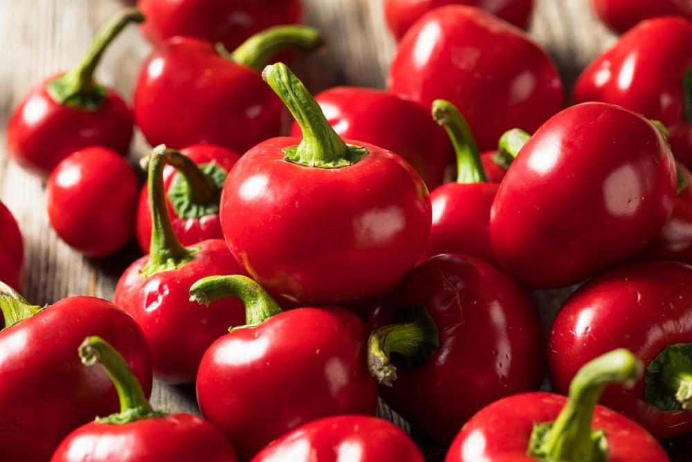 1G PEPPER 'CHERRY BOMB' (HOT) Cherry Bomb Hot Pepper 1004974