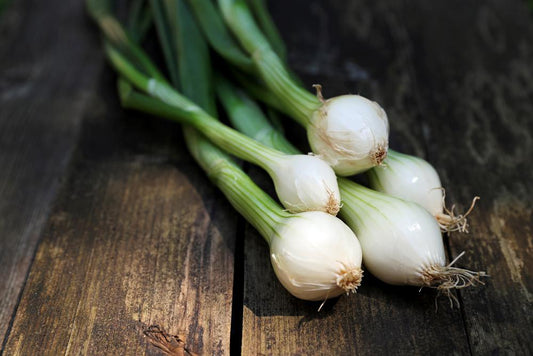 Onions - White - (Local, Hollis, NH) By the Pound