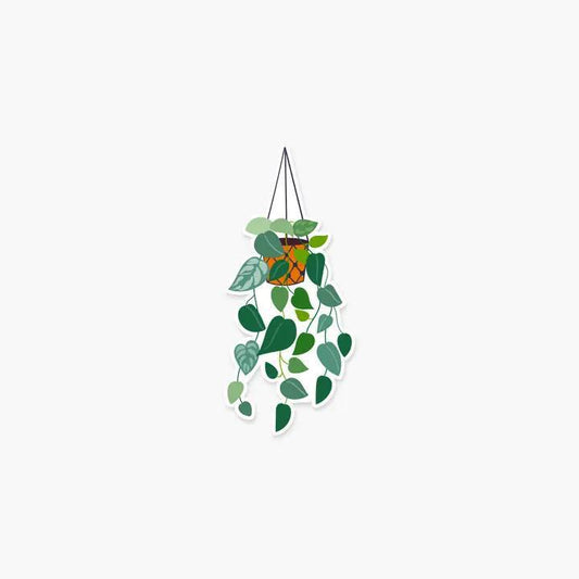 Footnotes - Hanging Pothos Plant - Sticker - ST0349