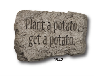 Massarelli's - 10" Stone Plant A Potato Get a Potato1942