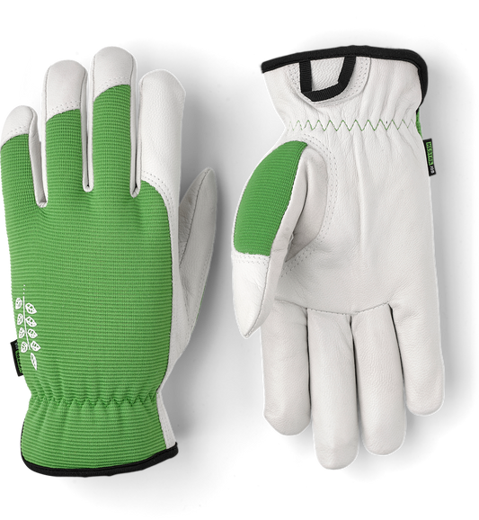 Hestra Gloves - Kobalt Garden - Green - Size 8 - 73180-850-8