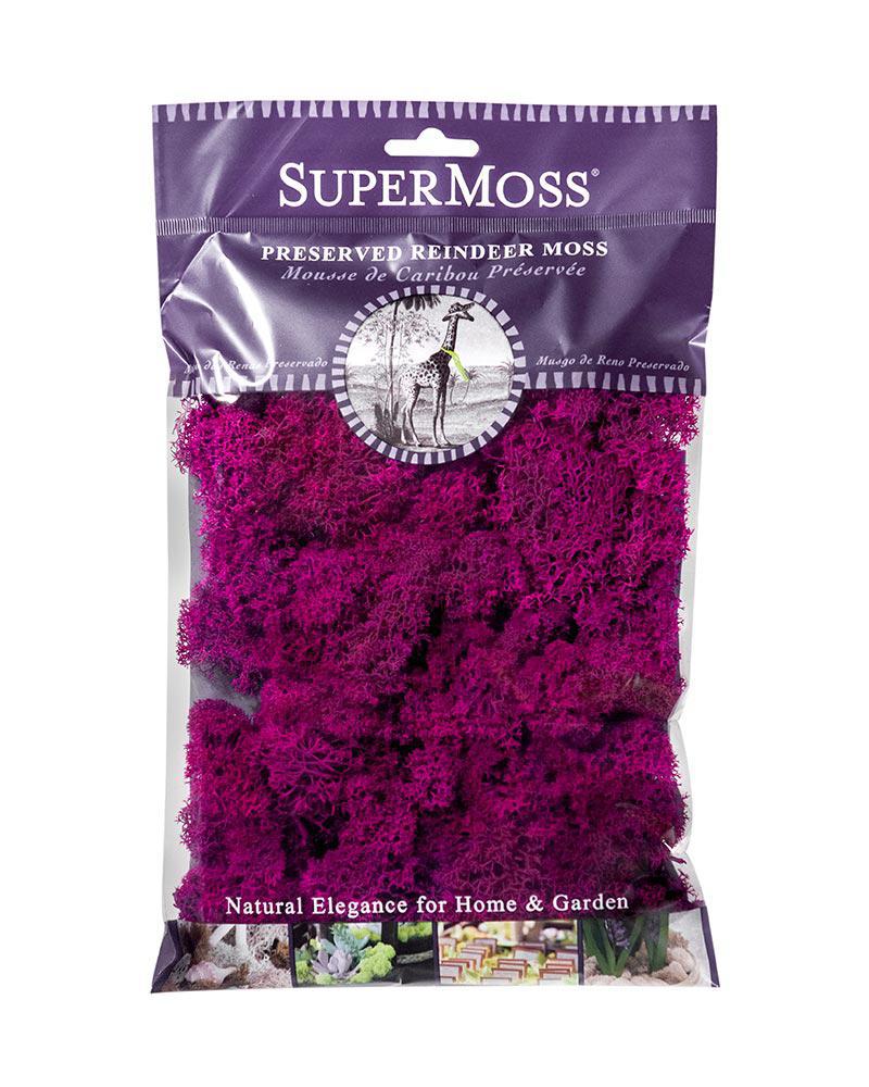 Supermoss Reindeer Moss Preserved - Fuschsia 2 oz 23164 80231010