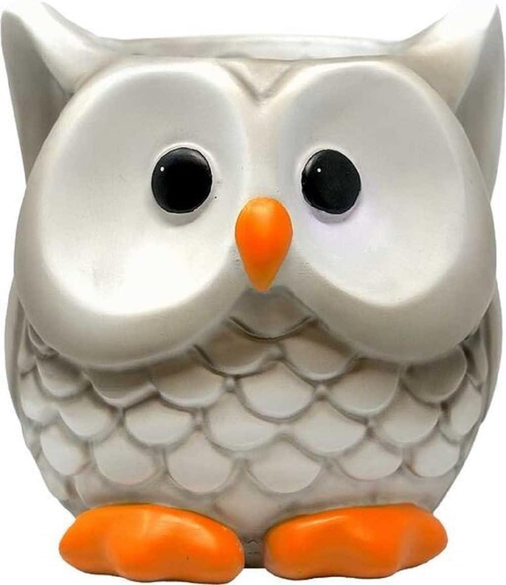 Spoontiques - Flower Pots - Owl 22118