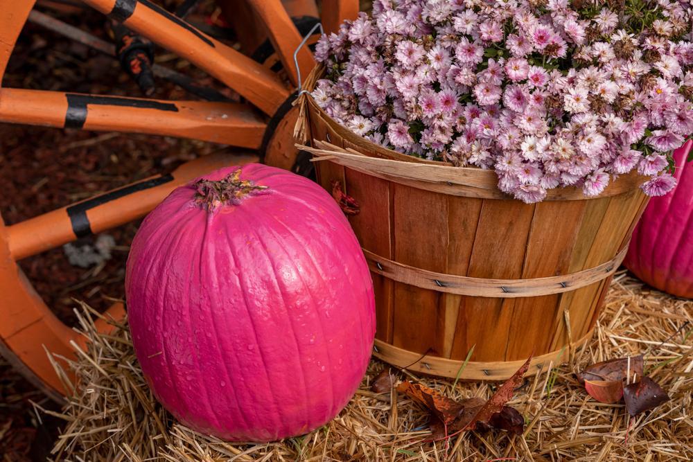 Mum Combo 1/2 Half Bushel Basket