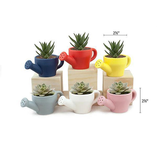 Land & Sea - Mini Watering Can Planter - MP6