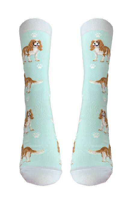 E&S Pets - Cavalier King Charles Full Body Socks 800 FB -18