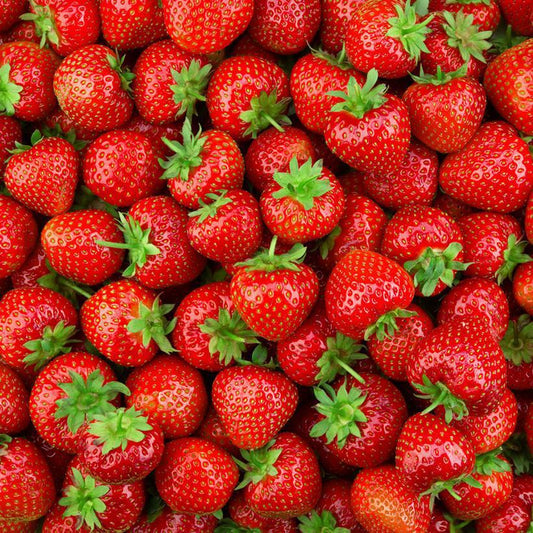 1G STRAWBERRY 'EARLIGLOW' Earliglow Strawberry 1006884