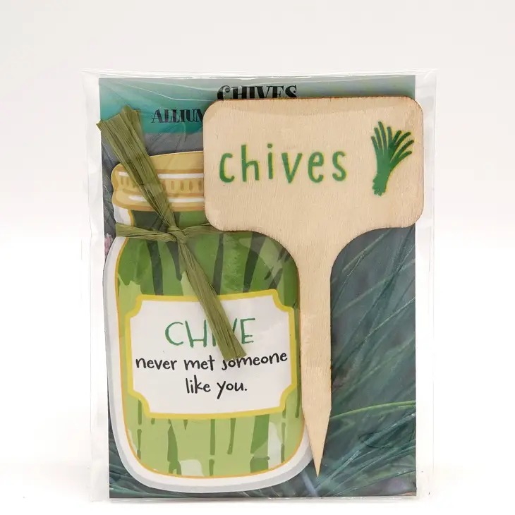 Imagine Design - Veggie Bundles Magnet and Seed Gift Pack - Chives 11103