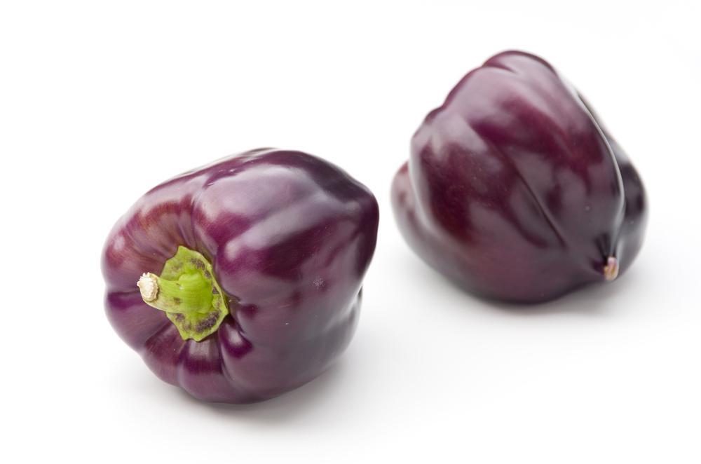 1G PEPPER 'PURPLE BEAUTY' (Sweet) Purple Beauty Bell Pepper 1004977