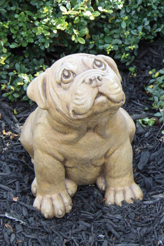 Massarelli's 11" PUPPY - PUG 2181