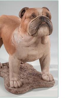 Massarelli's - 21" English Bulldog Full Detail D2134