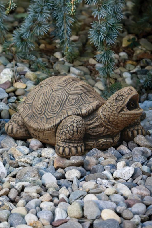 Massarelli's - Medium Turtle - Plumbed  2330