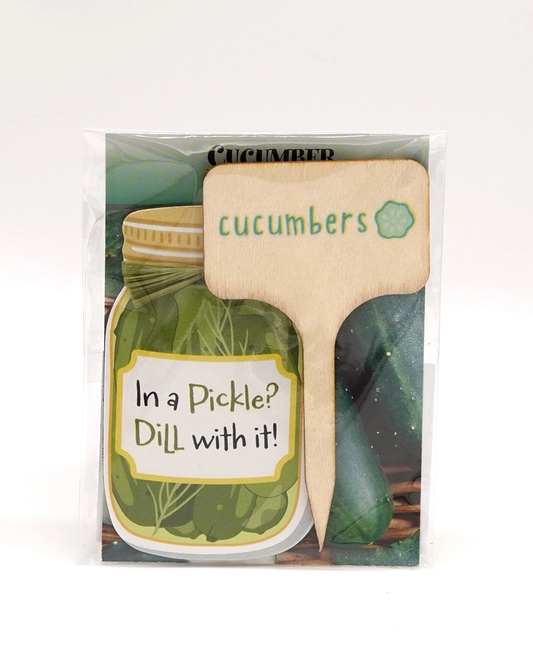 Imagine Design - Veggie Bundles Magnet and Seed Gift Pack - Cucumber 11104