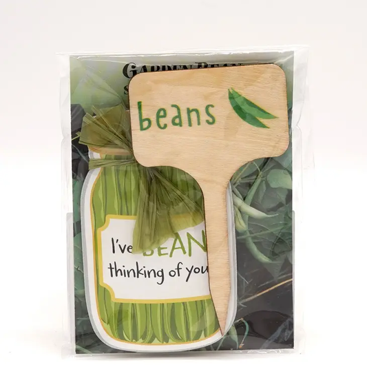 Imagine Design - Veggie Bundles Magnet and Seed Gift Pack - Beans 11105