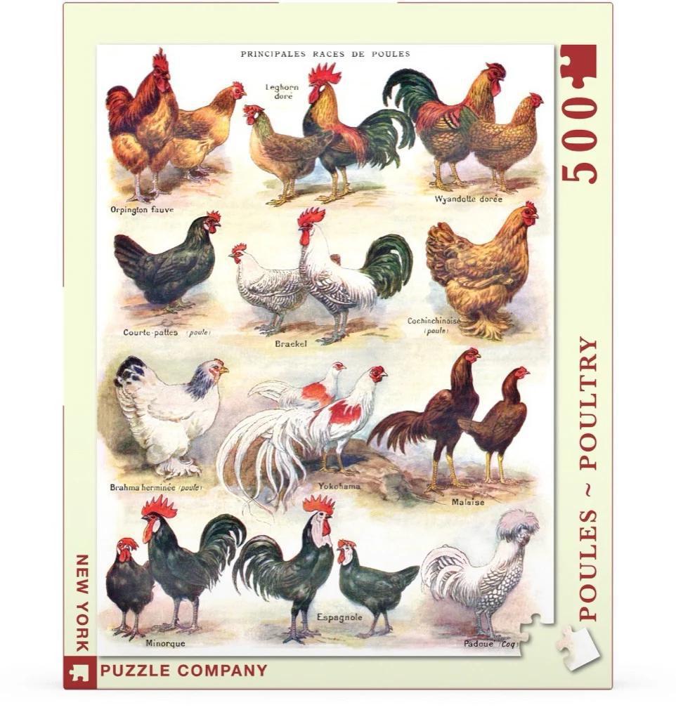 New York Puzzle Company - Poules ~ Poultry - NPZPD2177