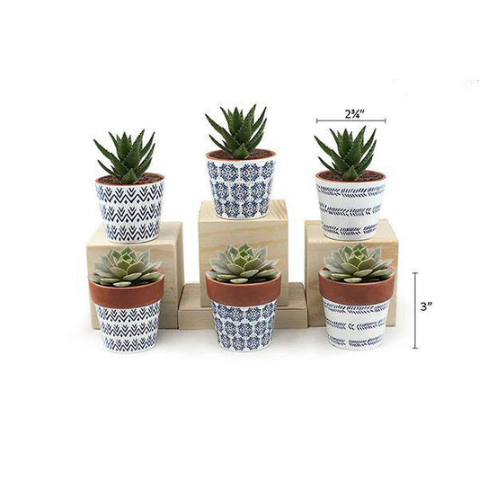 Land & Sea - Mini Pots White w/ Blue - MP8