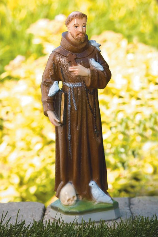 Massarelli's - 16.5" St. Francis Borgia - Detailed Stain - 137518DS