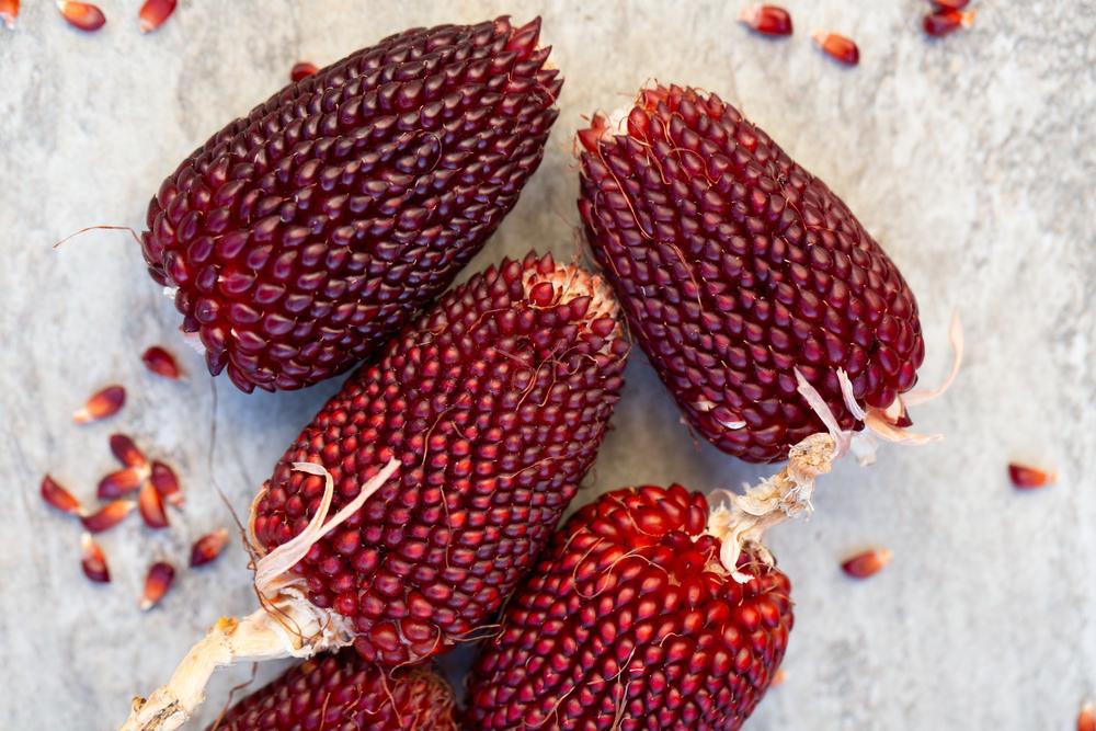 Strawberry Indian Corn Bunches