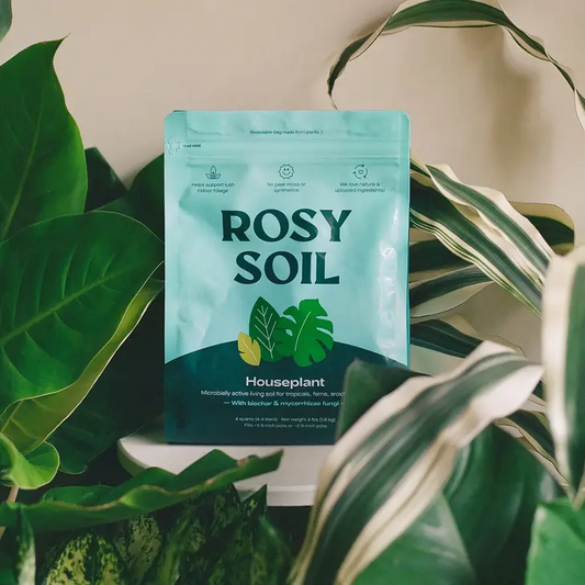 Rosy Soil - 4qt Organic Potting Soil Mix, Indoor, Houseplant & Herbs