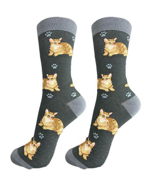 E&S Pets - Cat, Orange Tabby Full Body Socks 801 FB-9