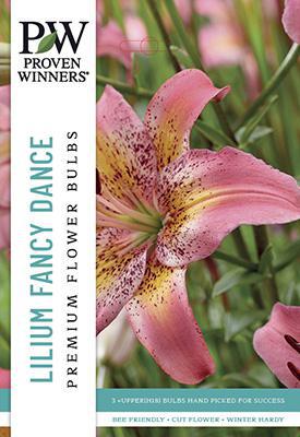 Lilium Asiatic Fancy Dance Lily Bulb - PWS-17 - 6513820001