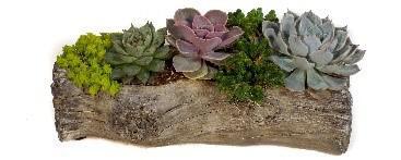 9.25" x 3" Log Planter Cement Small - 91246-HS