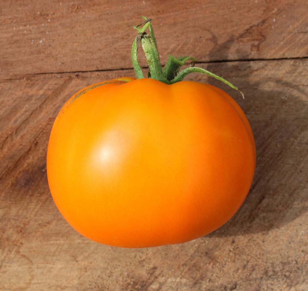 1G Tomato 'Moonglow' Moonglow Slicing Tomato 1006572