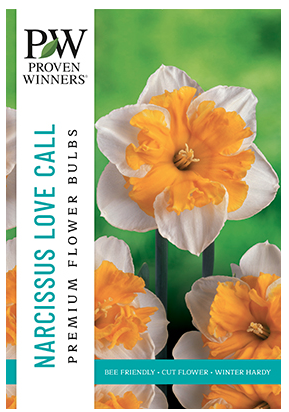 Netherland Bulb Company - Narcissus Large Cupped Mix in VP - 4304902690 VP-40