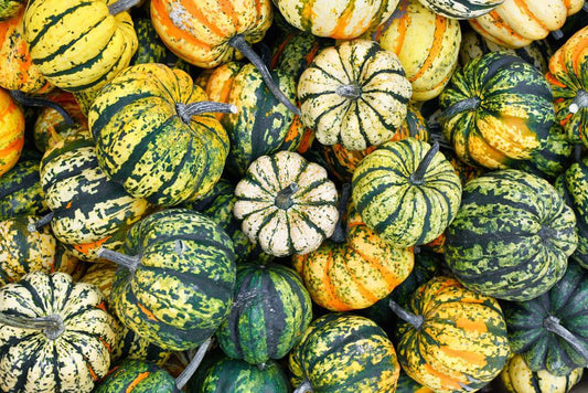 Squash - Winter - Carnival (Local, Hollis, NH)