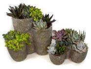 6" x 4.75" x 3.75" Tri Pot Medium - 91231-HS