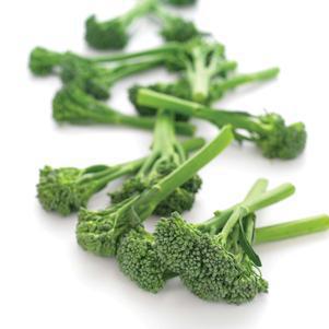 1G BROCCOLINI 'ASPABROC' Aspabroc Broccolini 1007719