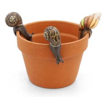 Land & Sea - 4" Snail - Large Pot Hanger - PH142