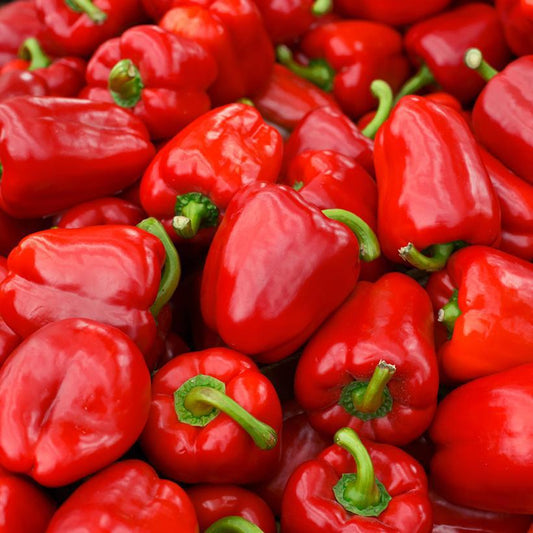 1G Pepper 'Red Delicious' Red Delicious Sweet Pepper 1005395