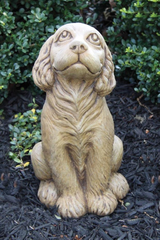 Massarelli's - 13" Puppy - Cocker Spaniel 2187