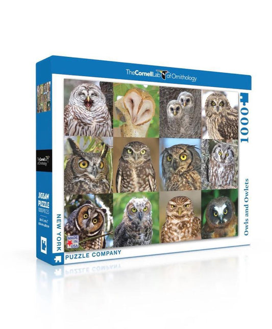 New York Puzzle Company - Owls and Owlets - NPZCB2085
